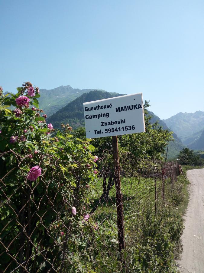 Guesthouse Mamuka Zhabesh Zhabeshi Εξωτερικό φωτογραφία